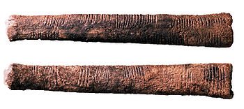 http://upload.wikimedia.org/wikipedia/commons/thumb/0/08/Ishango_bone.jpg/350px-Ishango_bone.jpg