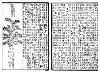 http://upload.wikimedia.org/wikipedia/commons/thumb/4/41/Pen_ts%27ao%2C_woodblock_book_1249-ce.png/325px-Pen_ts%27ao%2C_woodblock_book_1249-ce.png